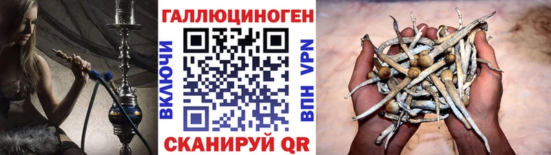 Псилоцибиновые грибы ЛСД  купить   Фатеж 